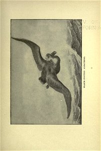 n258_w1150