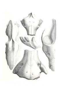n494_w1150