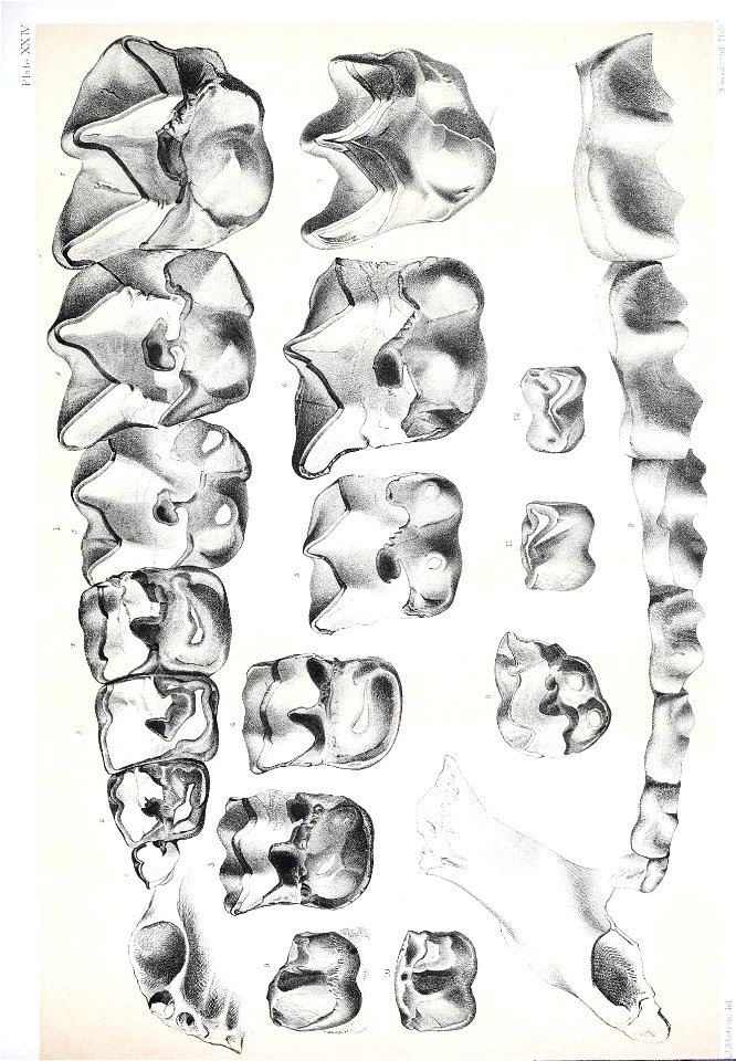 n524_w1150