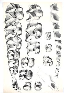 n524_w1150