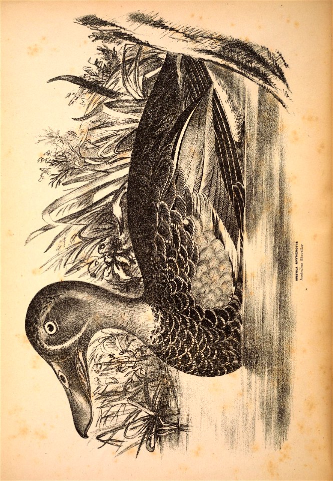 n405_w1150