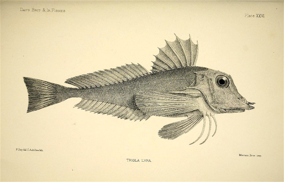 n58_w1150
