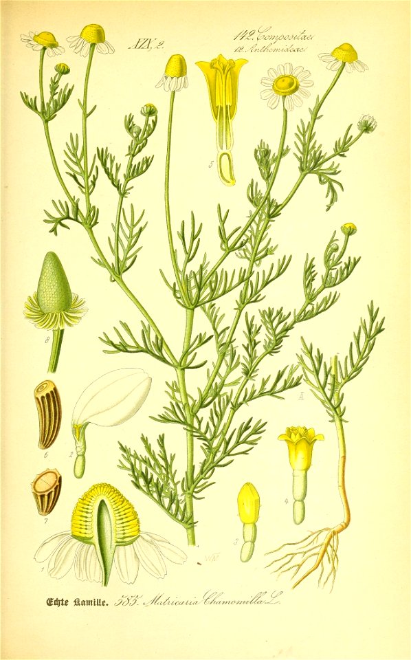 n576_w1150