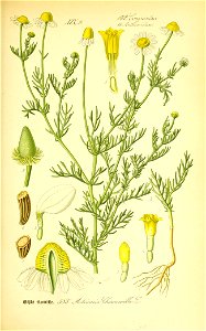 n576_w1150