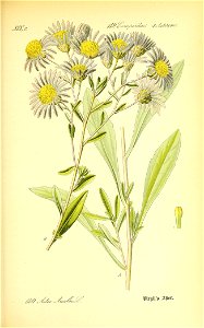 n506_w1150