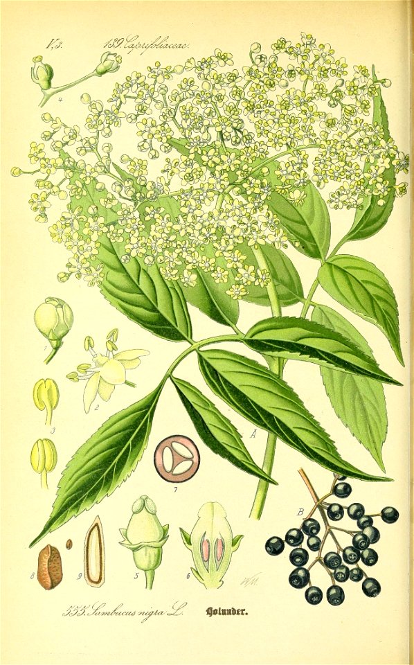 n433_w1150
