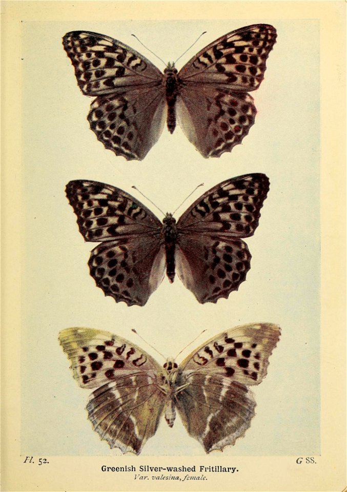n156_w1150