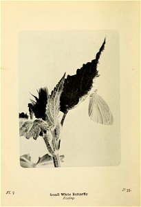n57_w1150