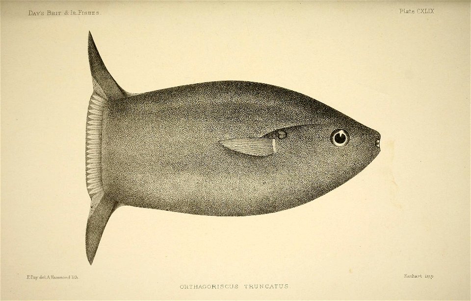 n304_w1150