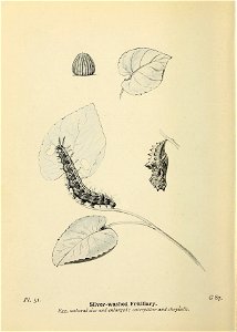 n153_w1150