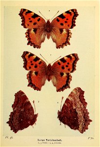 n122_w1150