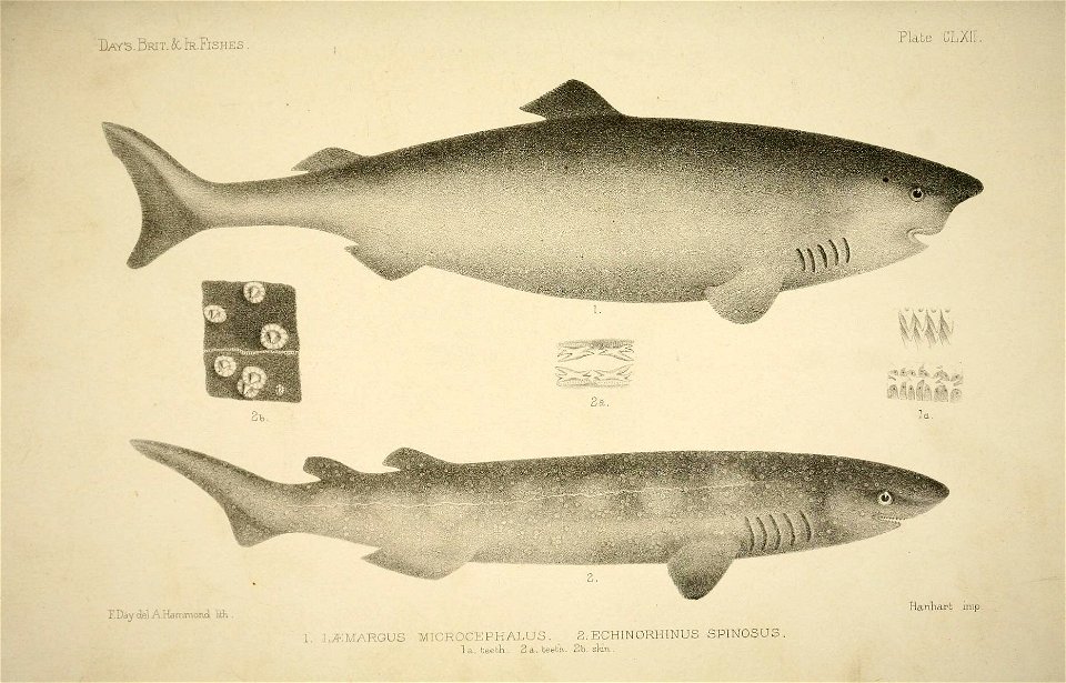 n330_w1150