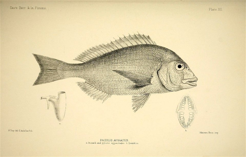 n30_w1150
