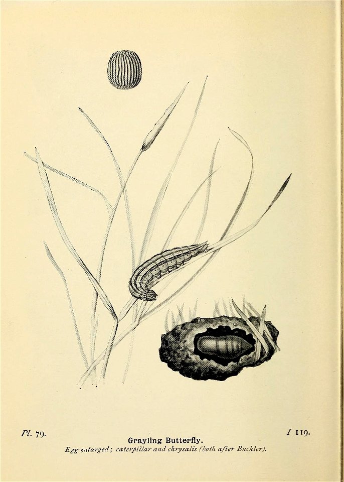 n213_w1150