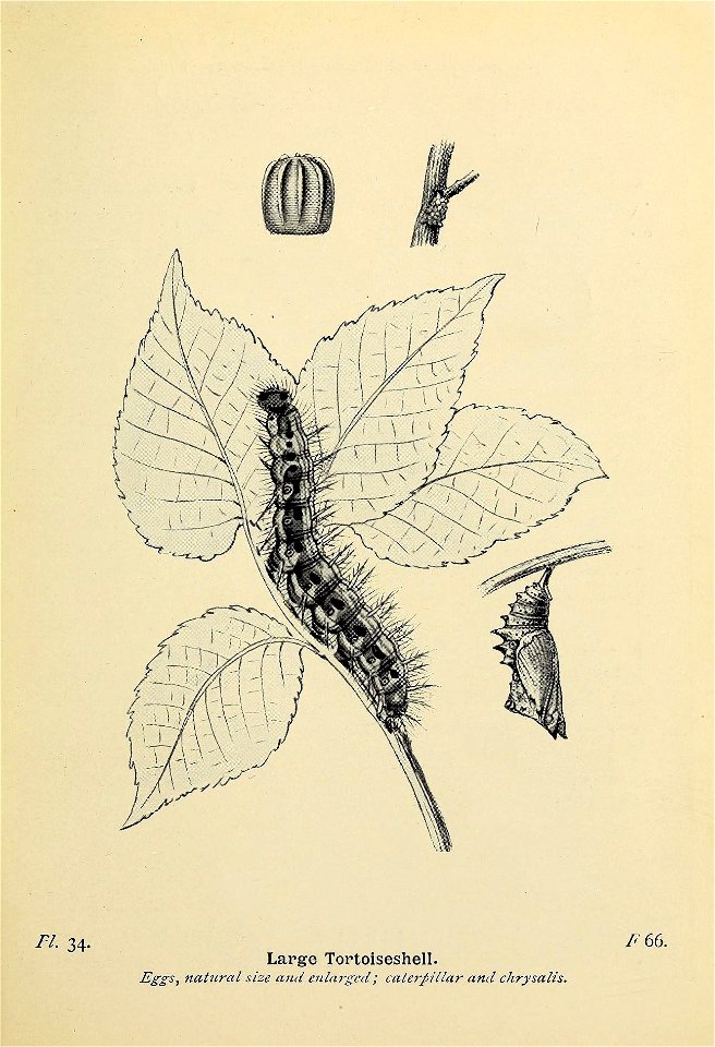 n116_w1150