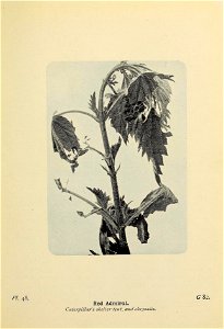 n146_w1150
