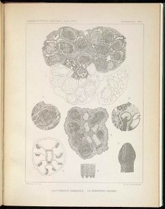n118_w1150