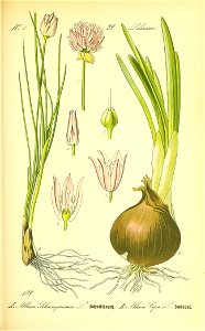 n562_w1150