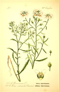 n405_w1150