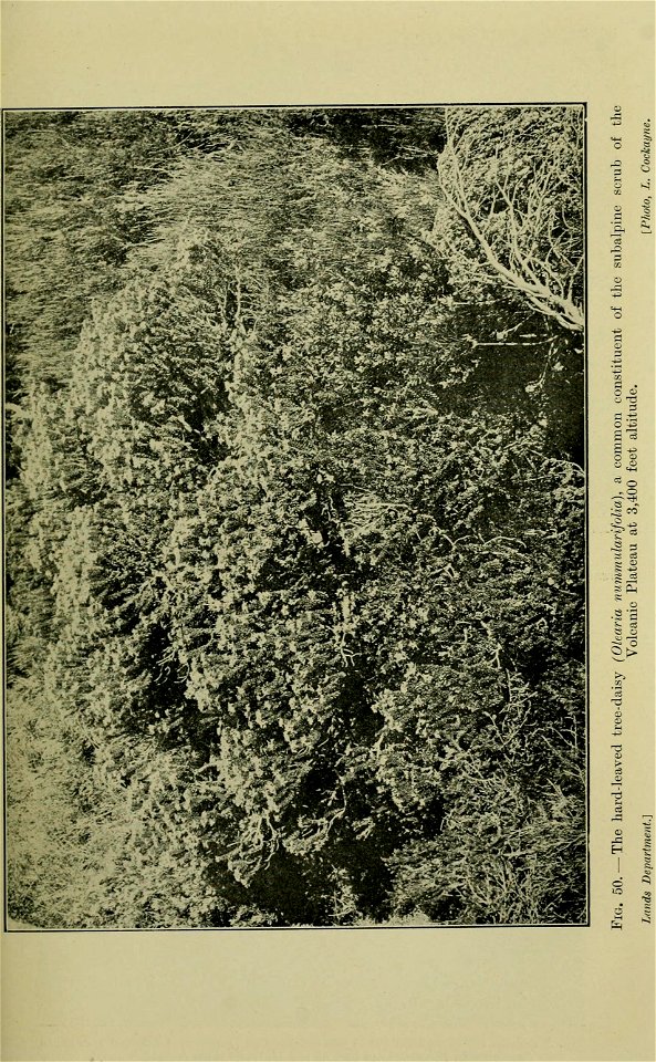 n126_w1150