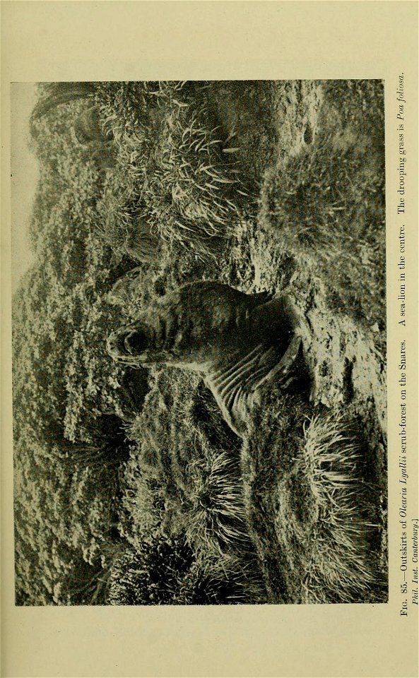 n228_w1150