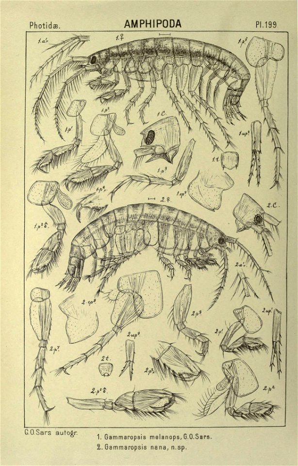 n419_w1150