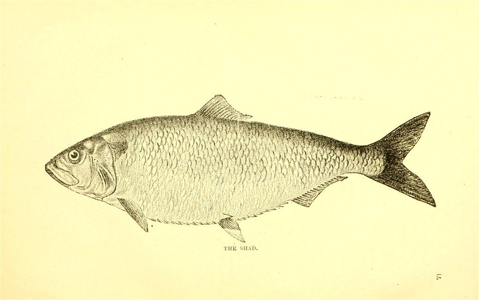 n94_w1150