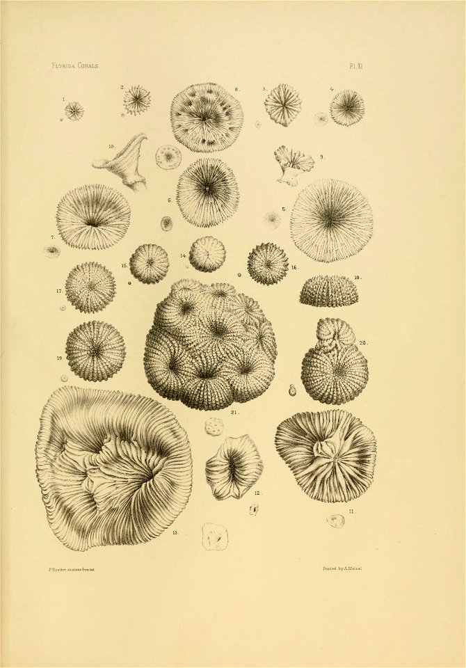 n114_w1150