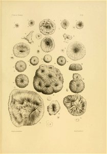 n114_w1150