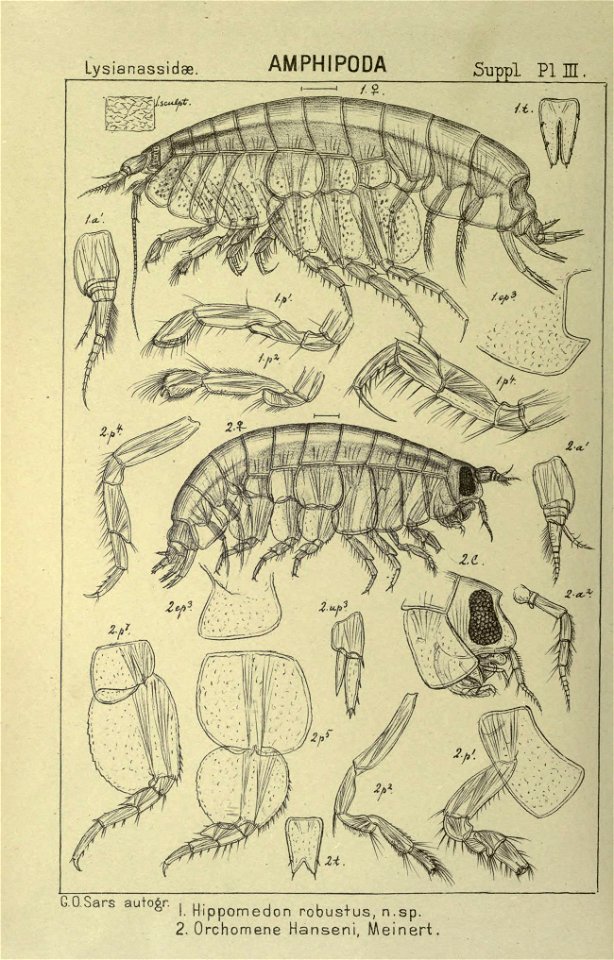 n507_w1150