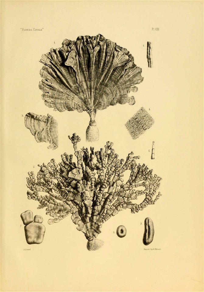 n158_w1150