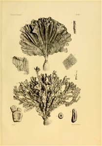n158_w1150