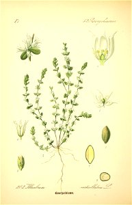 n159_w1150