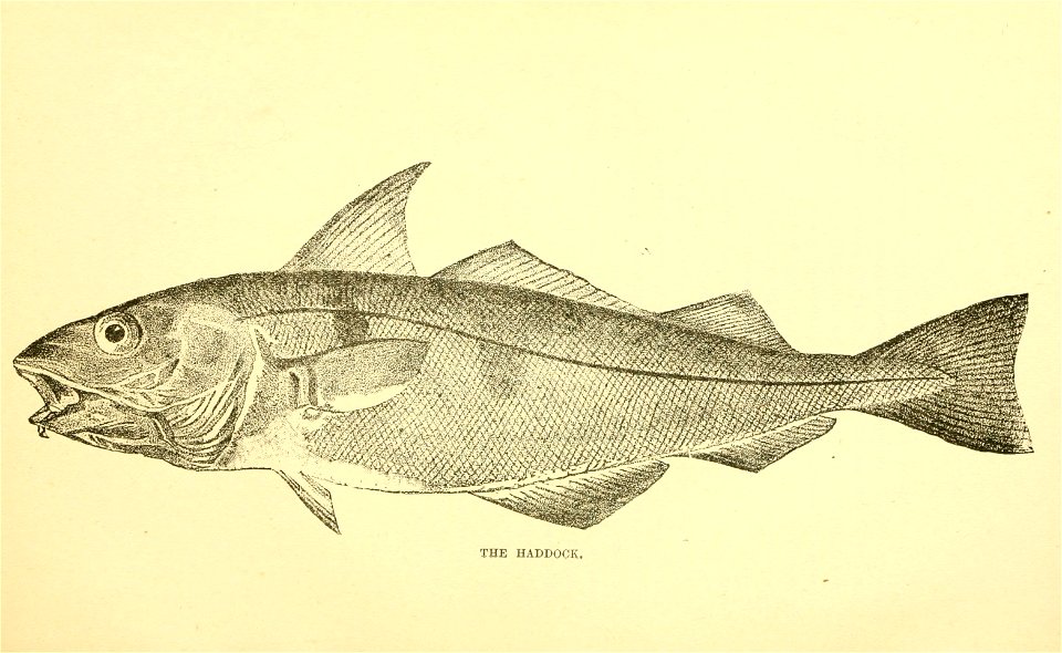 n82_w1150