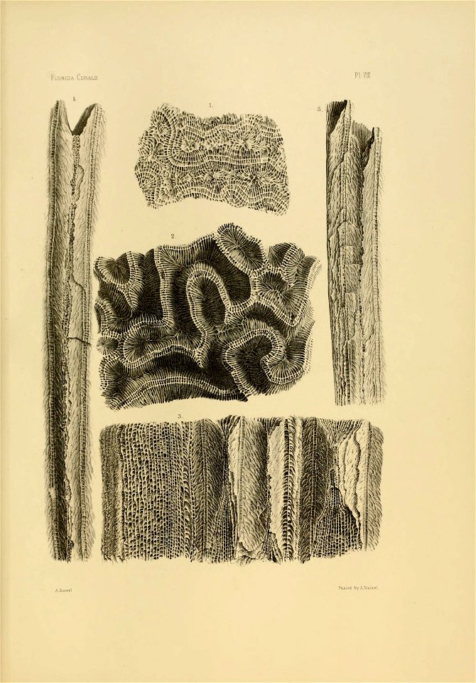 n102_w1150
