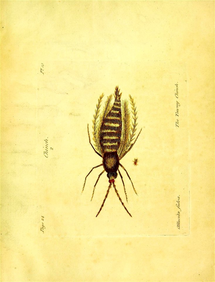 n44_w1150