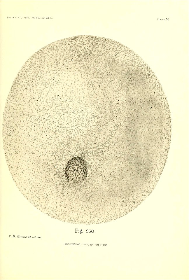 n394_w1150