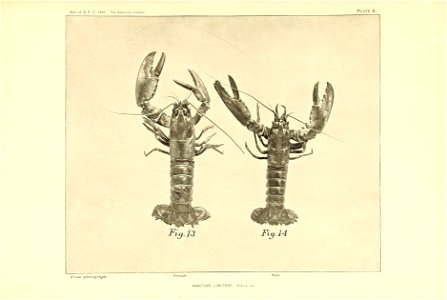 n302_w1150