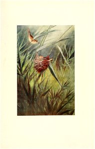 n178_w1150
