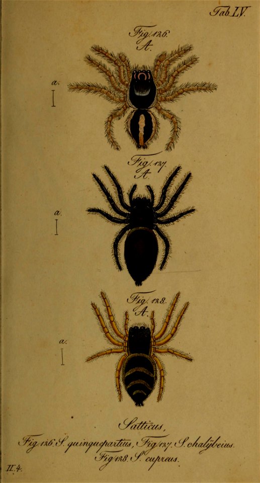n112_w1150