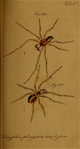 n202_w1150