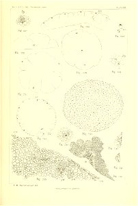 n392_w1150