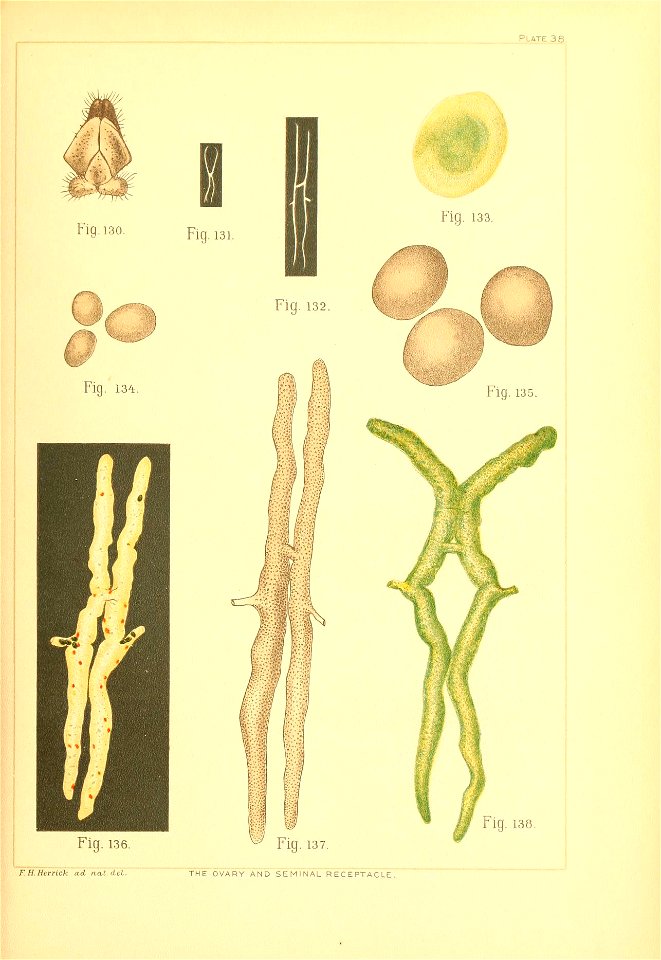 n362_w1150