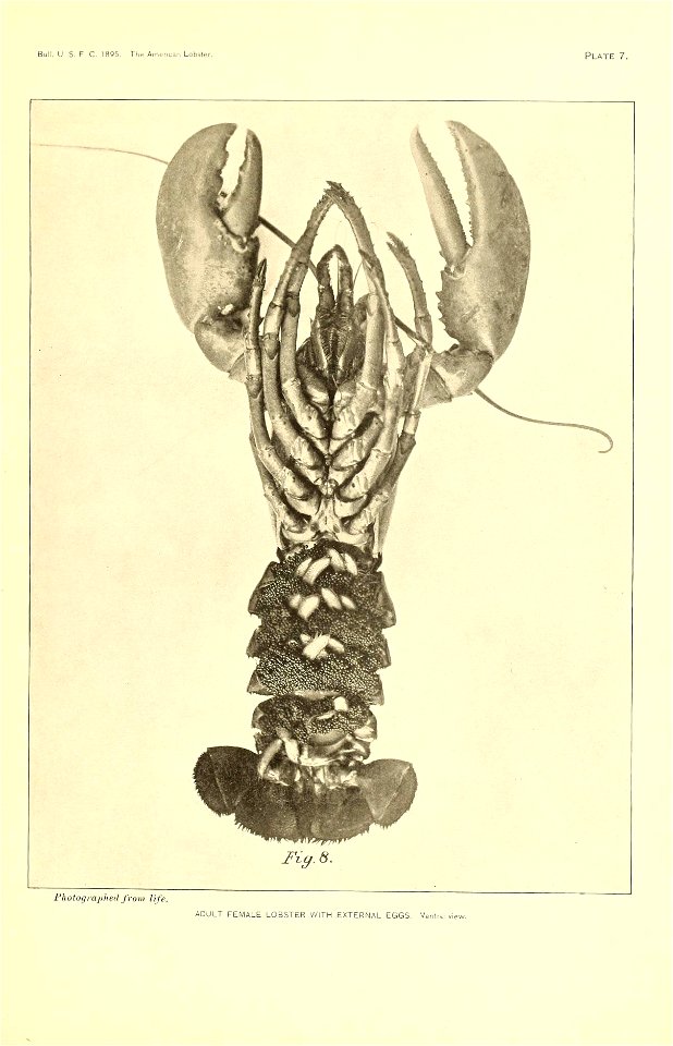 n298_w1150