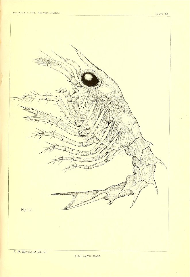 n326_w1150