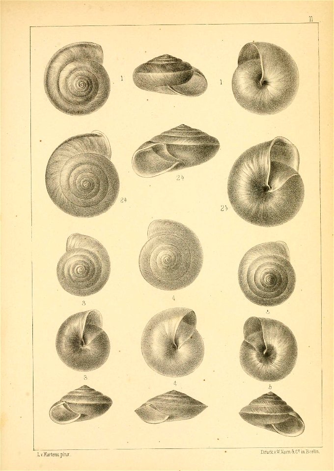n486_w1150