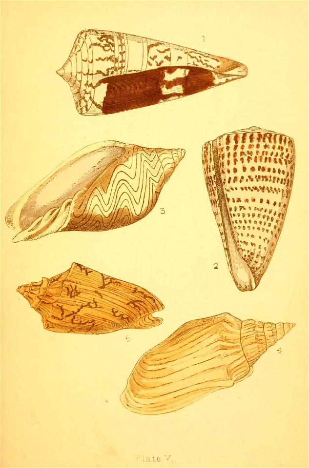 n12_w1150
