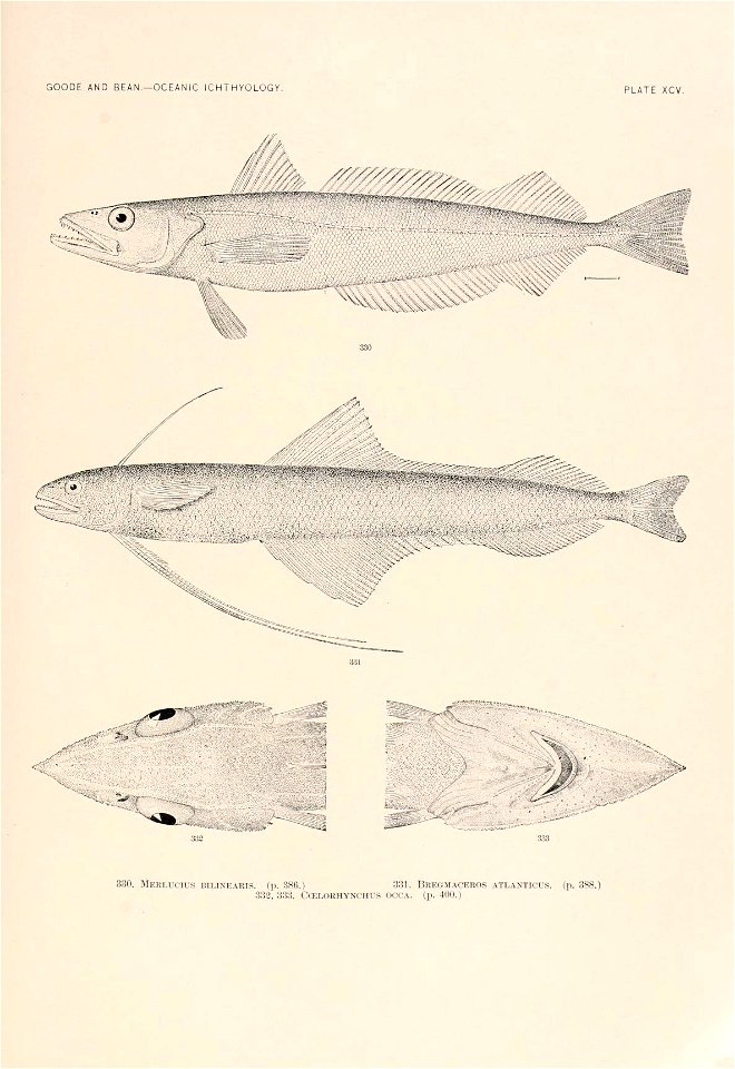 n248_w1150