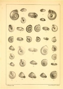 n492_w1150