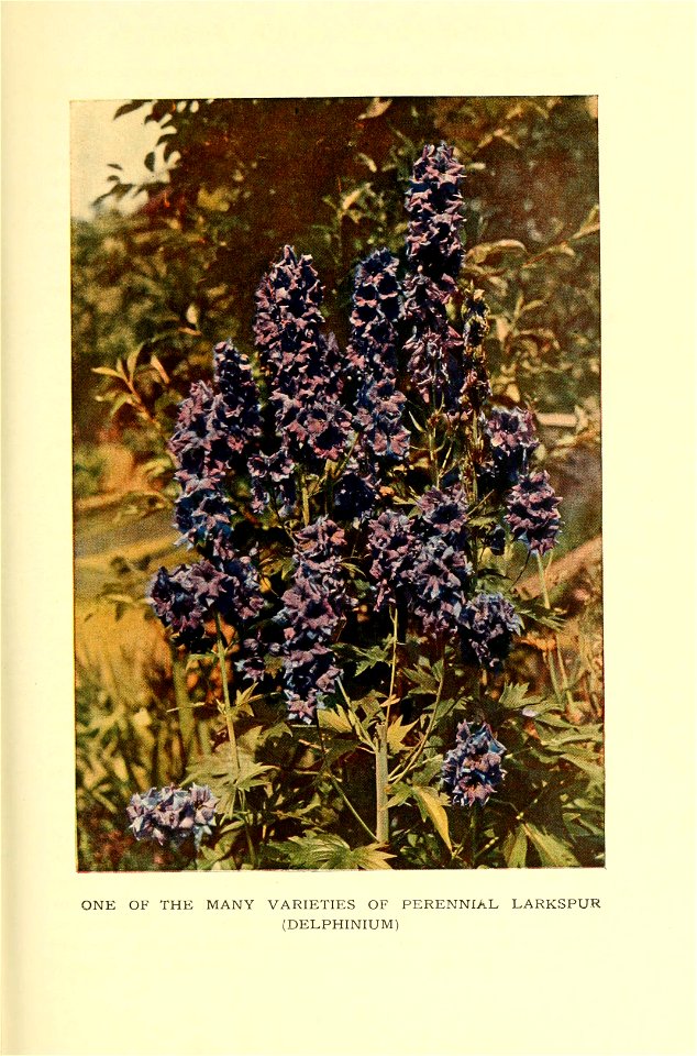 n256_w1150